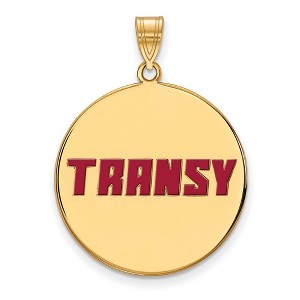 Black Bow Jewelry 14k Yellow Gold Plated Sterling Silver Transylvania Pioneers NCAA Extra Large Pendant - 1 of 3