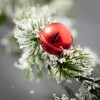 48"L Sullivans Artificial Red Jingle Bell Pine Christmas Garland, Indoor Christmas Decor - 2 of 3