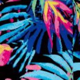 black multi tropicana