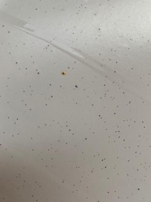 Guest review image 1 of 4, zoom in
