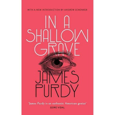 In a Shallow Grave (Valancourt 20th Century Classics) - by  James Purdy (Paperback)