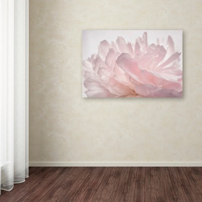 Pink Peony Petals Framed Canvas Art, 22'' x 32''