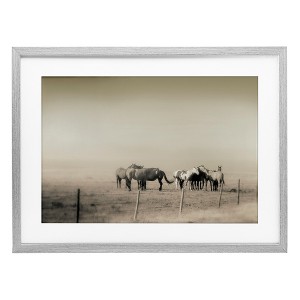 Stupell Industries The Herd Monochrome Horses Framed Print Under Glass, Gray, 20" x 14" - 1 of 4