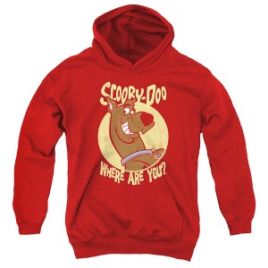 Boys’ Scooby Doo Where Are You Hooded Sweatshirt - 1 of 4