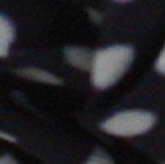 black polka dots