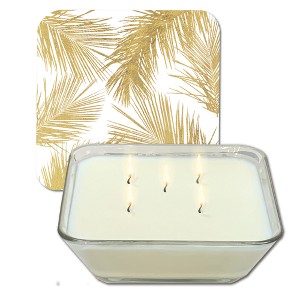 Courtside Market Feathered Sprigs Candle Collection ~ Evergreen Mist 20 oz Soy Wax Candle with Decorative Art Lid - 1 of 3