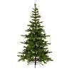 7.5' Prelit PowerConnect Feel Real Hinged Dancer Pine Artificial Christmas Tree Clear Lights - National Tree Company - 4 of 4