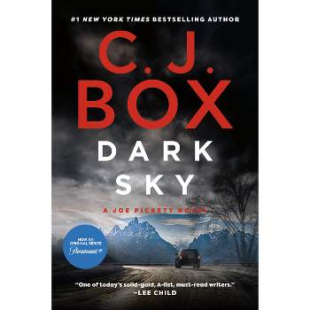 Dark Sky - (Joe Pickett Novel) by  C J Box (Paperback)