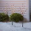 3ct LED Artificial Twig Christmas Stake Lights Warm White - Wondershop™: Birch Effect, 30" Height, Electric Powered Outdoor Pathway Decor - 2 of 4