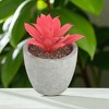 Unique Bargains Artificial Plants Pointed Lotus in Mini Pulp Plastic Red 2.76"x2.76"x3.35" 1 Pcs - 2 of 4