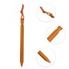Unique Bargains Triangular Tent Pegs 1 Set - 3 of 4