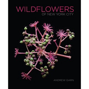 Wildflowers of New York City - by  Andrew Garn (Hardcover) - 1 of 1