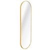 Whisen 63x20 Inch Pill-Shaped Full-Length Mirror, Shatterproof Design - 2 of 4