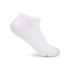 Women's Fruit of the Loom Cotton Comfort 4pk No Show Socks - 4-10 - 2 of 4