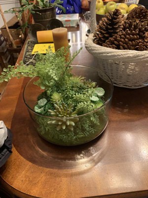 Guest review image 1 of 3, zoom in