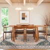 Acekool Boho Vintage Washable Area Rug, Soft Faux Velvet Non-Slip Carpet for Living Room Bedroom Kitchen Office, Easy Care - 3 of 4