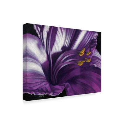 Trademark Fine Art -Barbara Keith 'Amethyst' Canvas Art