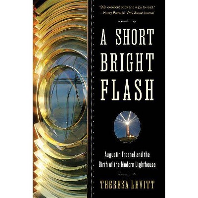 A Short Bright Flash - by  Theresa Levitt (Paperback)