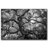 Trademark Fine Art -Motivations by CATeyes-22x32 Canvas Art Ready to Hang - 2 of 4