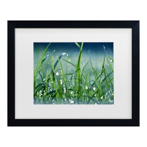 Trademark Fine Art - Beata Czyzowska Young Morning Dew Matted Framed Art - 1 of 4