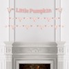 Big Dot of Happiness Girl Little Pumpkin - Fall Birthday Party or Baby Shower Letter Decoration - 36 Banner Cutouts and Little Pumpkin Banner Letters - 3 of 4