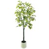6FT Artificial Lemon Tree Potted That Look Real, Faux Lemons Citrus Plants with Yellow Fake Lemons Fruits in Pot, Indoor Tall Artificial Trees - 2 of 4