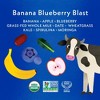Once Upon a Farm Grassfed Banana Blueberry Whole Milk Smoothie - 16oz/4ct - 3 of 4