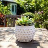 Textured Pottery Terracotta Planter with Raised Dot Design and Rounded Body - Decorative Handcrafted Planter for Indoor Outdoor Display - 3 of 4