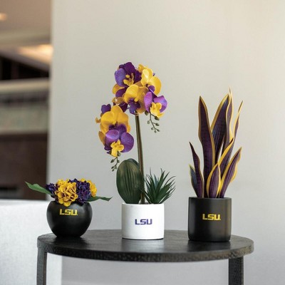 Forever Leaf LSU Artificial Snake, Orchid and Hydrangea Plants 3-Pack Bundle, Indoor Artificial Plant for Home Decor