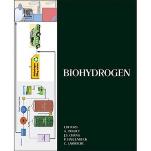 Biohydrogen - (Biomass, Biofuels, Biochemicals) by  Ashok Pandey & Jo-Shu Chang & Patrick C Hallenbeck & Christian Larroche (Hardcover) - 1 of 1