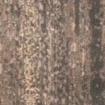 soft anthracite