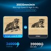 LONGER Laser B1 30W Engraver Cutter, 600 mm/s Speed, 17.72inx17.32in Area, Cuts 25 mm Wood & 50 mm Acrylic, Auto Air Assist - 4 of 4