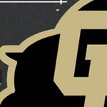 colorado buffaloes