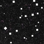 st louis cardinals 1966-1997