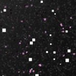 st louis cardinals 1966-1997