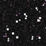 st louis cardinals 1966-1997