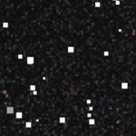 st louis cardinals 1966-1997