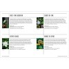 The Modern Gardener - by  Sonya Patel Ellis (Hardcover) - 4 of 4