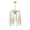 Savoy House Anholt 6 - Light Chandelier in  Noble Brass - 4 of 4