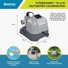 Bestway Hydrogenic 12 G/H Saltwater Chlorinator Automatic Self-Cleaning Mode for 15,000 Gallon Above Ground Swimming Pools with Test Strips - 2 of 4