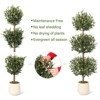 5FT Artificial Olive Triple Ball Topiary Trees with Moss & Inner Pot - 4 of 4
