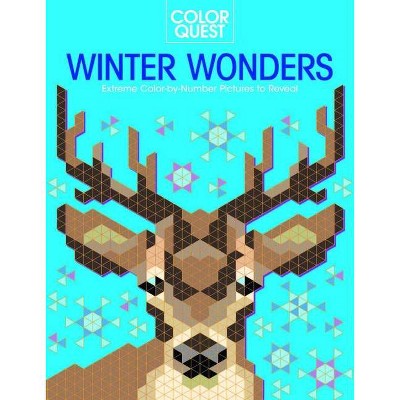 Color Quest: Winter Wonders - by  Daniela Geremia (Paperback)