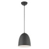 Livex Lighting Arlington 1 - Light Pendant in  Scandinavian Gray - 4 of 4
