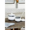 Set of 2 Round Textured Ceramic Jars with Lid Gray/White - Olivia & May: Modern Country Cottage Decor - 2 of 4