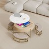 NicBex Round 2-Tier Lift-Top CoffeeTable with Storage & 3 Ottoman, Mid Century Center Tables for Living Room Small Space - 3 of 4