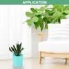 Unique Bargains Plastic Lightweight Modern Design Plant Pot Round 2 Pcs - 4 of 4