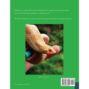 Slithered Away! - by  Laura Chapman-Boardman (Paperback) - 1 of 1