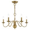 Livex Lighting Windsor 5 - Light Chandelier in  Antique Brass - image 3 of 4