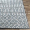 Hauteloom Blue Ivory Summit Indoor & Outdoor Rug - 4 of 4