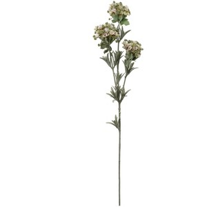 Floral Home 32" White Sweet Alyssum - 12-Pieces - 1 of 2